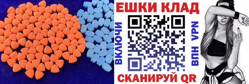 Ecstasy Philipp Plein  Купить  Светогорск 