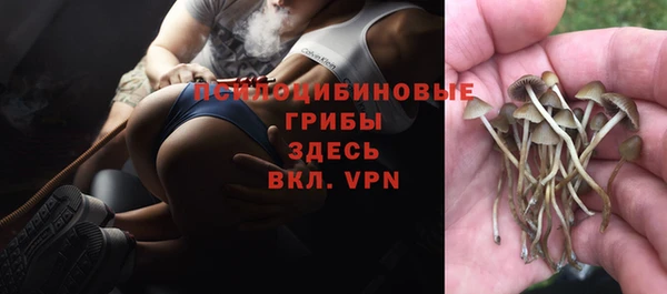 мескалин Пролетарск