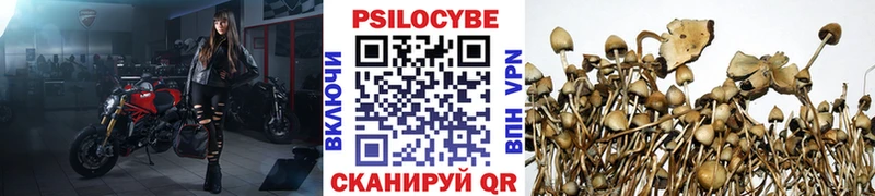 Псилоцибиновые грибы прущие грибы  Купить где  Светогорск 