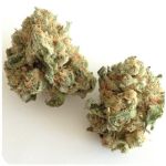 Шишки "White Widow"  (Белая вдова)  Гидропоника -  Бошка VHQ в Светогорске