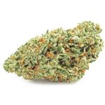 Шишки OG Kush  (Гидропоника, бошки) VHQ в Светогорске